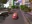 Car City Racing Game 1.546 (32-bit)